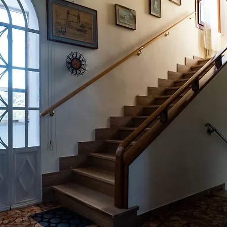 Zona Mostra Del Cinema *